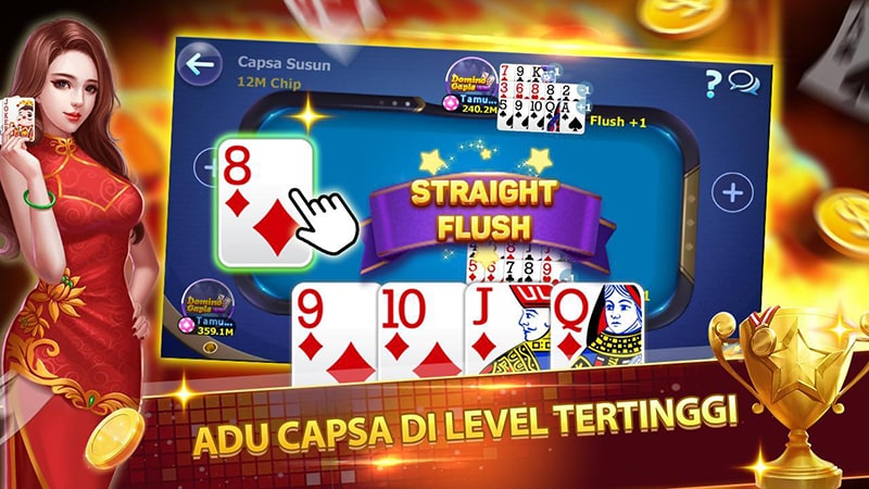 capsa susun